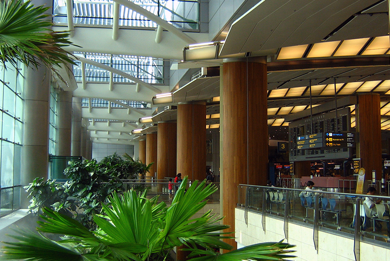 HDG PEYZAJ İÇ MEKAN PEYZAJ TASARIMI & UYGULAMA