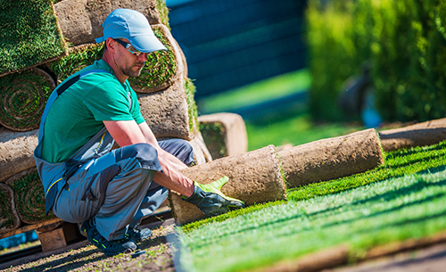 peyzaj-hazir-rulo-cim-hizmeti-k1